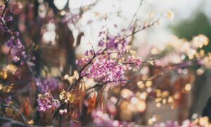 Правильное отношение ко всем – видеть душу