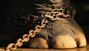 привязанность, слабость характера