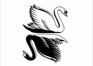 духовная практика материальная практика