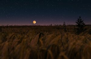 смысл жизни