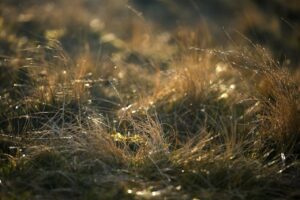 негативное развитие