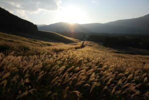 вера в духовную жизнь, вера и духовная жизнь