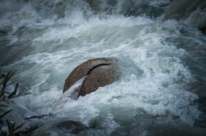 терпение в жизни