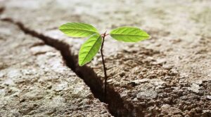 главное предназначение человека